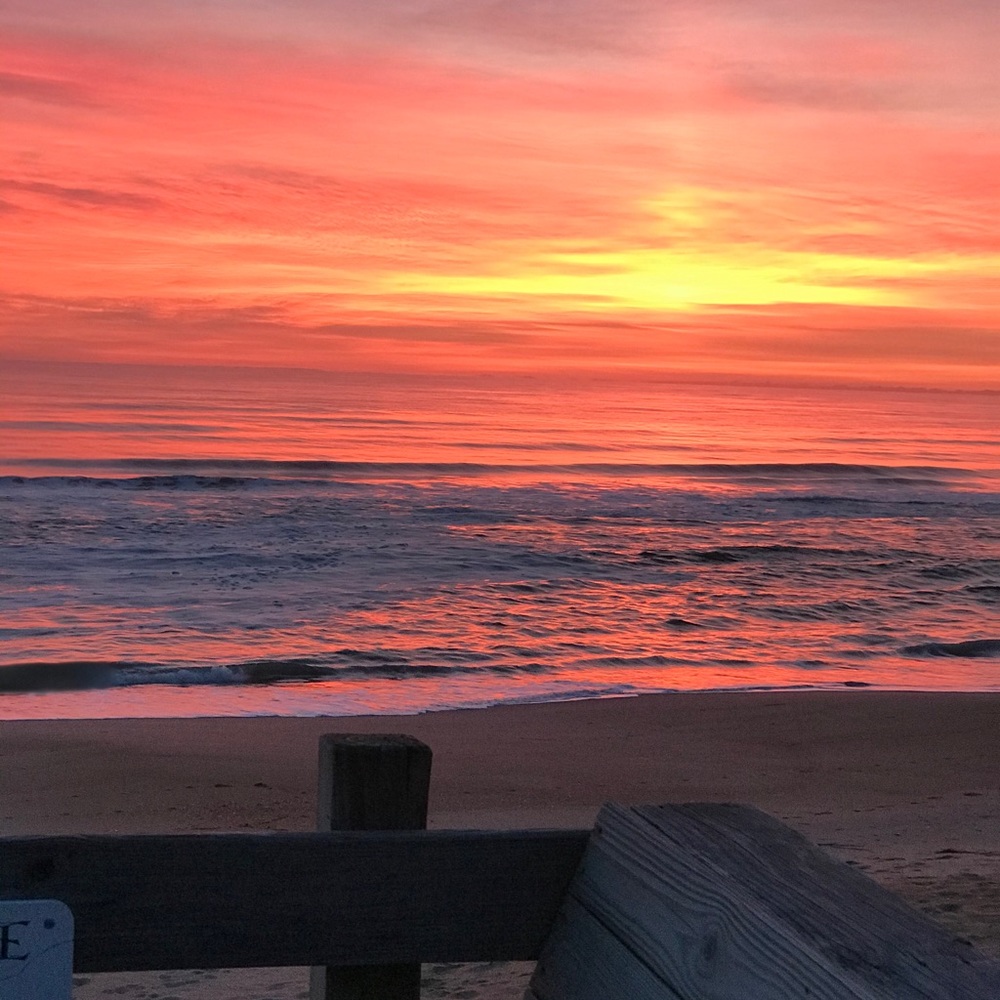 Meet your Posher, Dawn